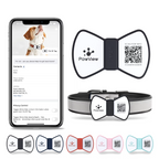 Smart Pet Tag
