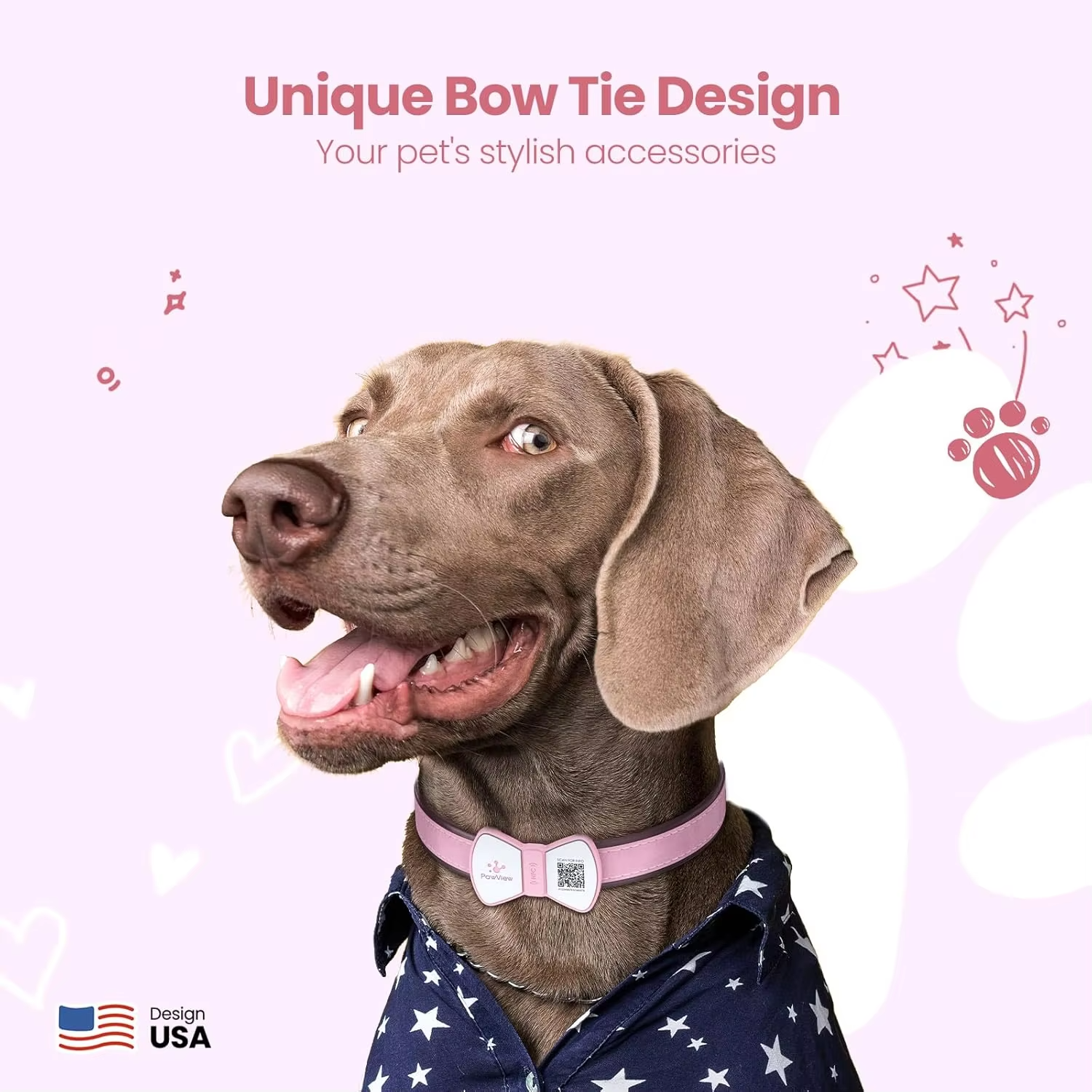 Smart Pet Tag